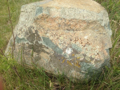 Гигантские зелёные валуны для ландшафтного дизайна весом более 5 тонн купить в Иваново