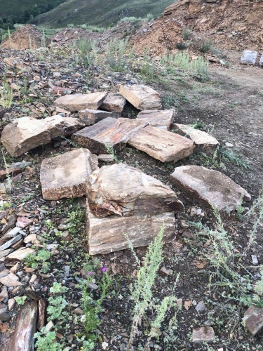 Плитняк кора дерева 50-100мм для пошаговых дорожек купить в Иваново